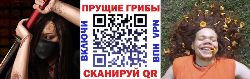 Псилоцибиновые грибы Cubensis  где продают   Хвалынск 